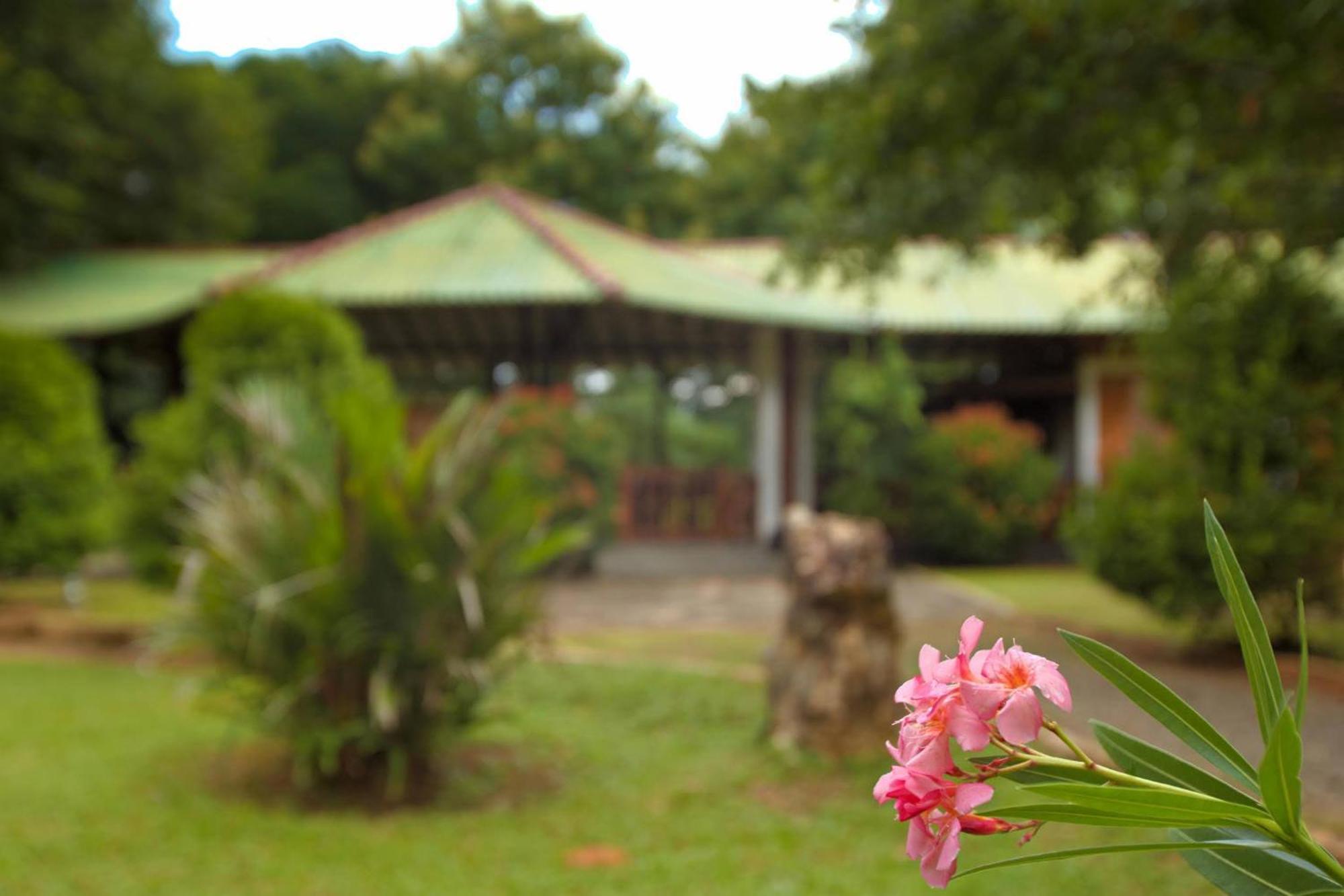 The Mastodon Valley Safari Resort Udawalawe Exterior photo